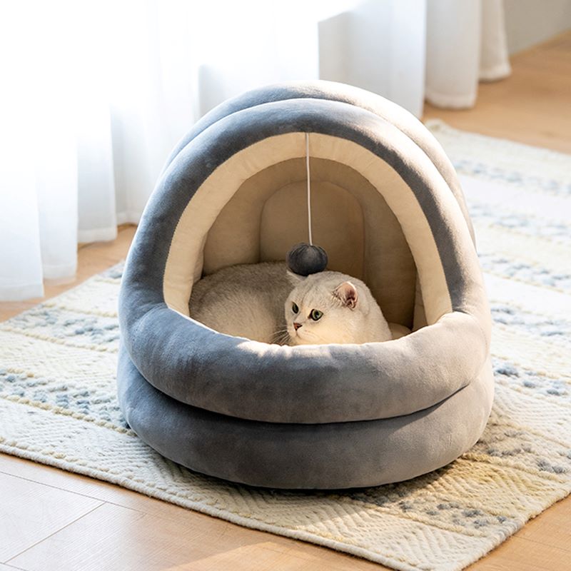 cute cat beds