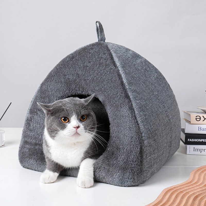 cute cat beds