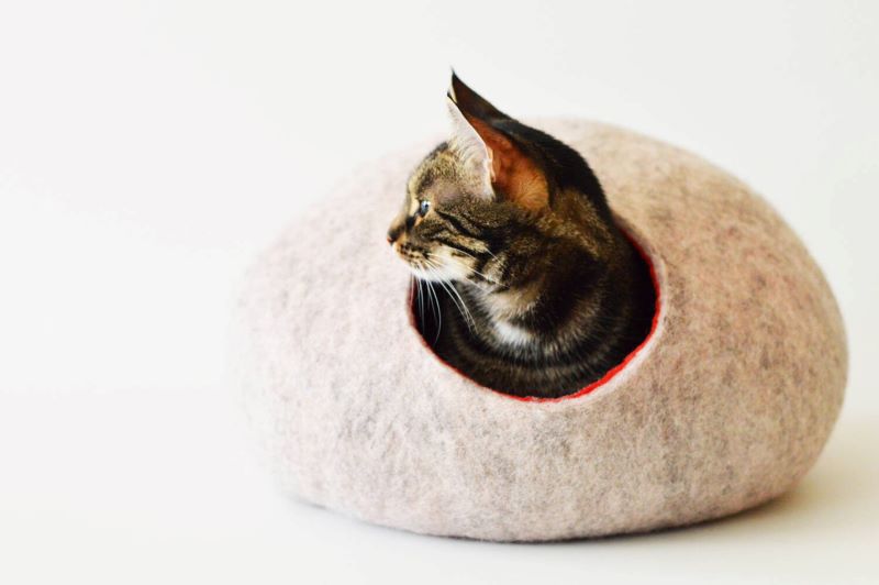 best covered cat beds